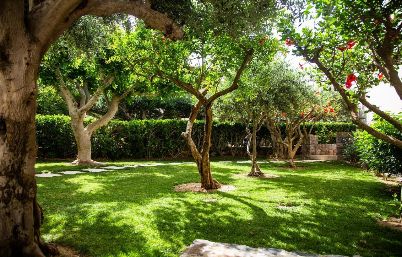 Hotel Paralos Irini Mare Agia Galini